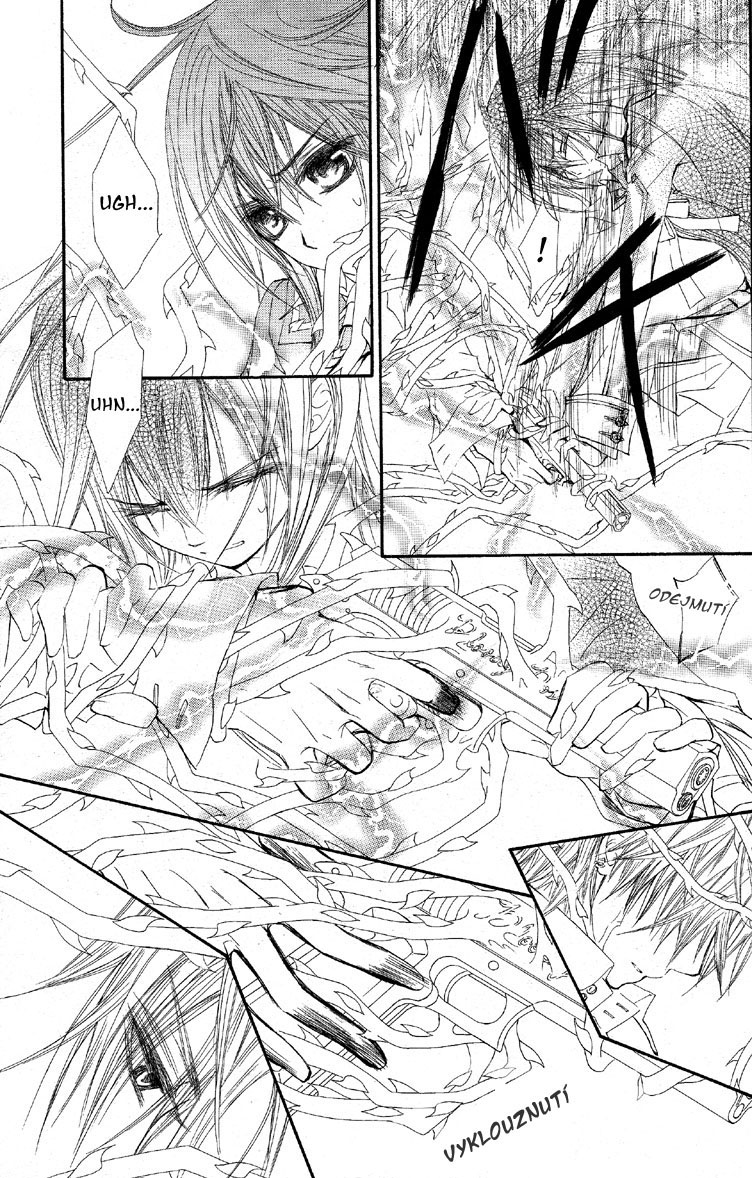 Vampire Knight v10 c46 - 17.jpg